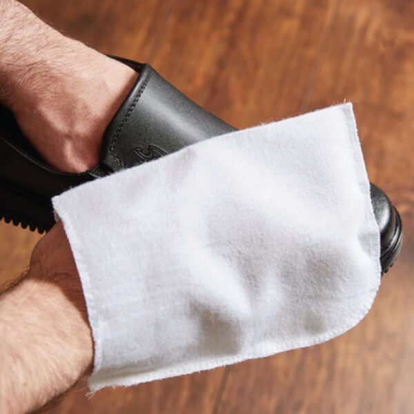 Shoe Mitt
